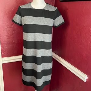 LOFT SP Striped Dress